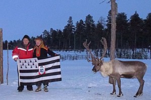 Lapon__renne_drapeauKV